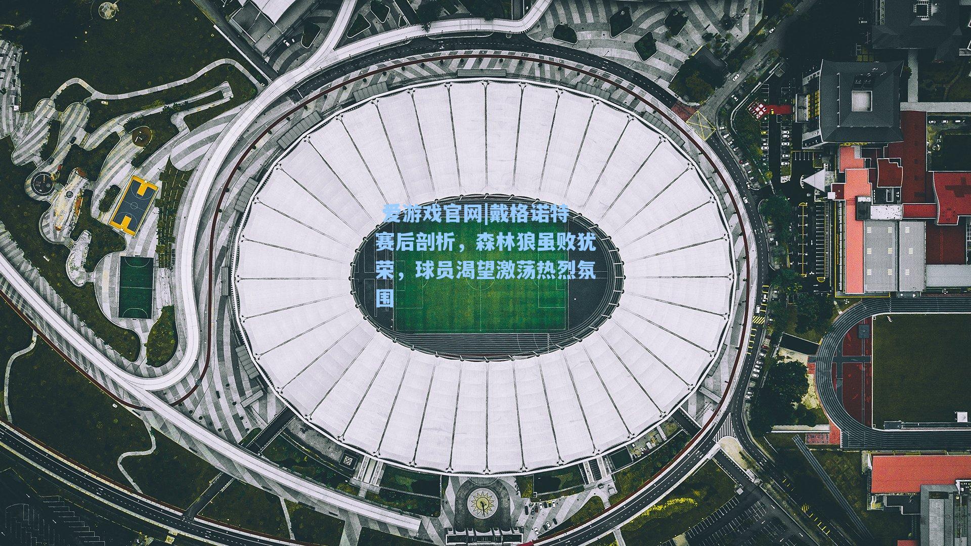  爱游戏官网|戴格诺特赛后剖析，森林狼虽败犹荣，球员渴望激荡热烈氛围