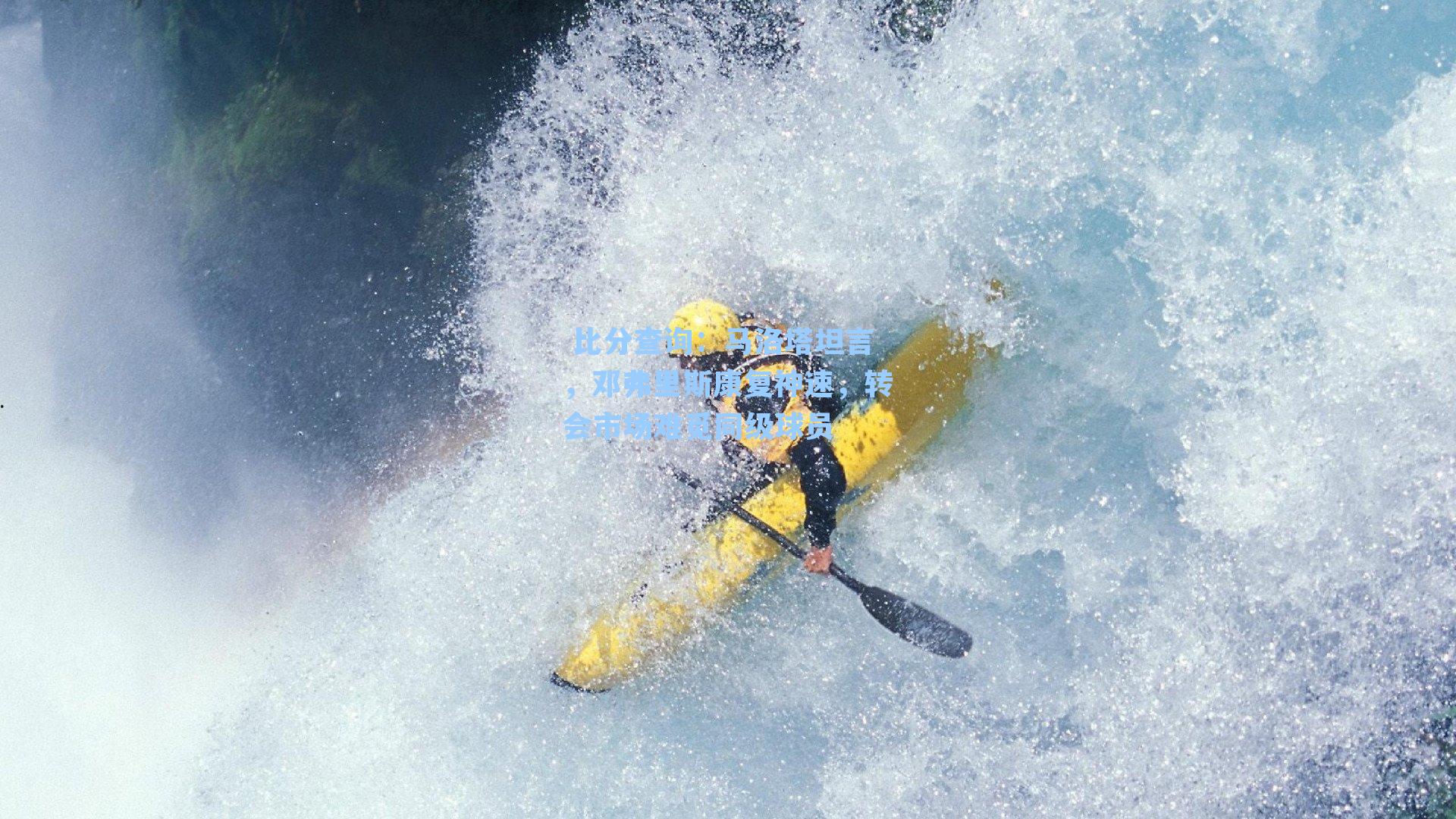 马洛塔坦言，邓弗里斯康复神速，转会市场难觅同级球员